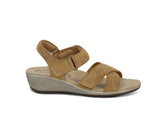 Holly - Camel